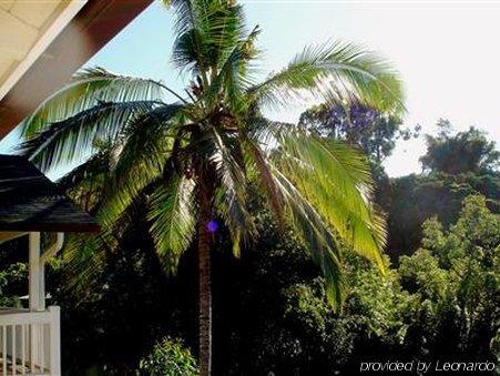 Bamboo Valley Inn Haiku-Pauwela Fasilitas foto